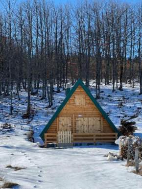 Forest rest